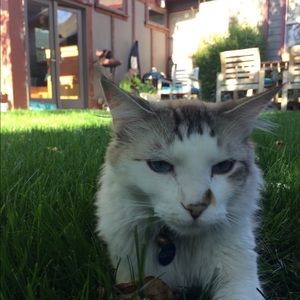 Meet your Posher, Sloane